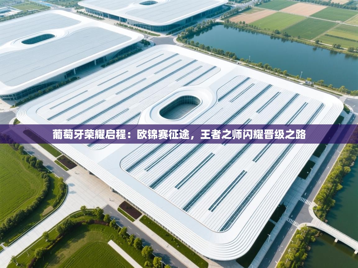 葡萄牙荣耀启程:欧锦赛征途,王者之师闪耀晋级之路 第1张